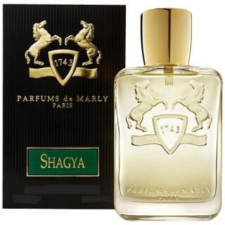 parfums-de-marly-shagya-edp-125ml-for-men
