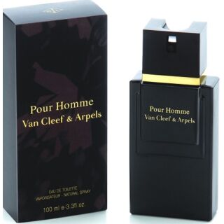 van-cleef-and-arpels-pour-homme-edt-100ml-perfum