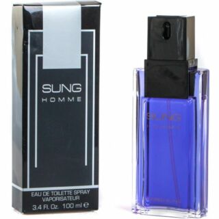 Alfred Sung Homme EDT 100ml Perfume For Men