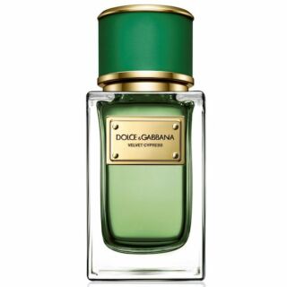 Dolce & Gabbana Velvet Cypress EDP 100ml Perfume For Men