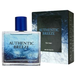 Jeanne Arthes Authentic Breeze EDT 100ml Perfume For Men